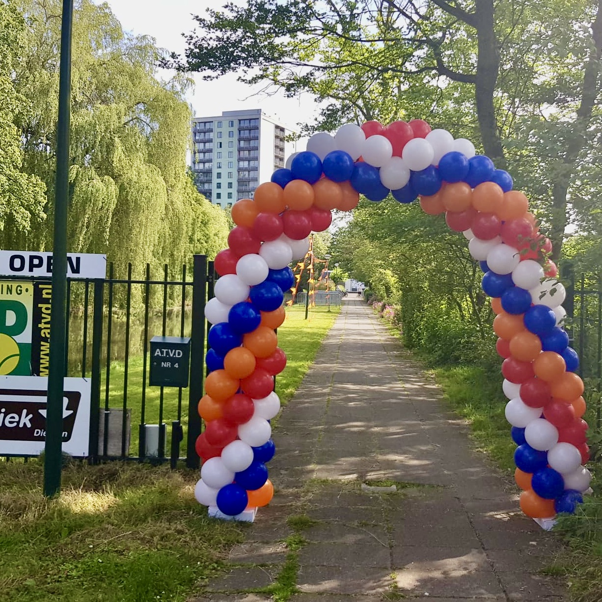 Medium Classic Ballonnenboog Holland