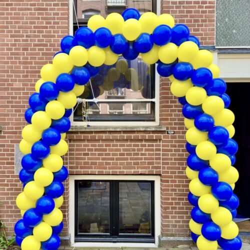 Medium Classic Ballonnenboog Geel-Royal blue
