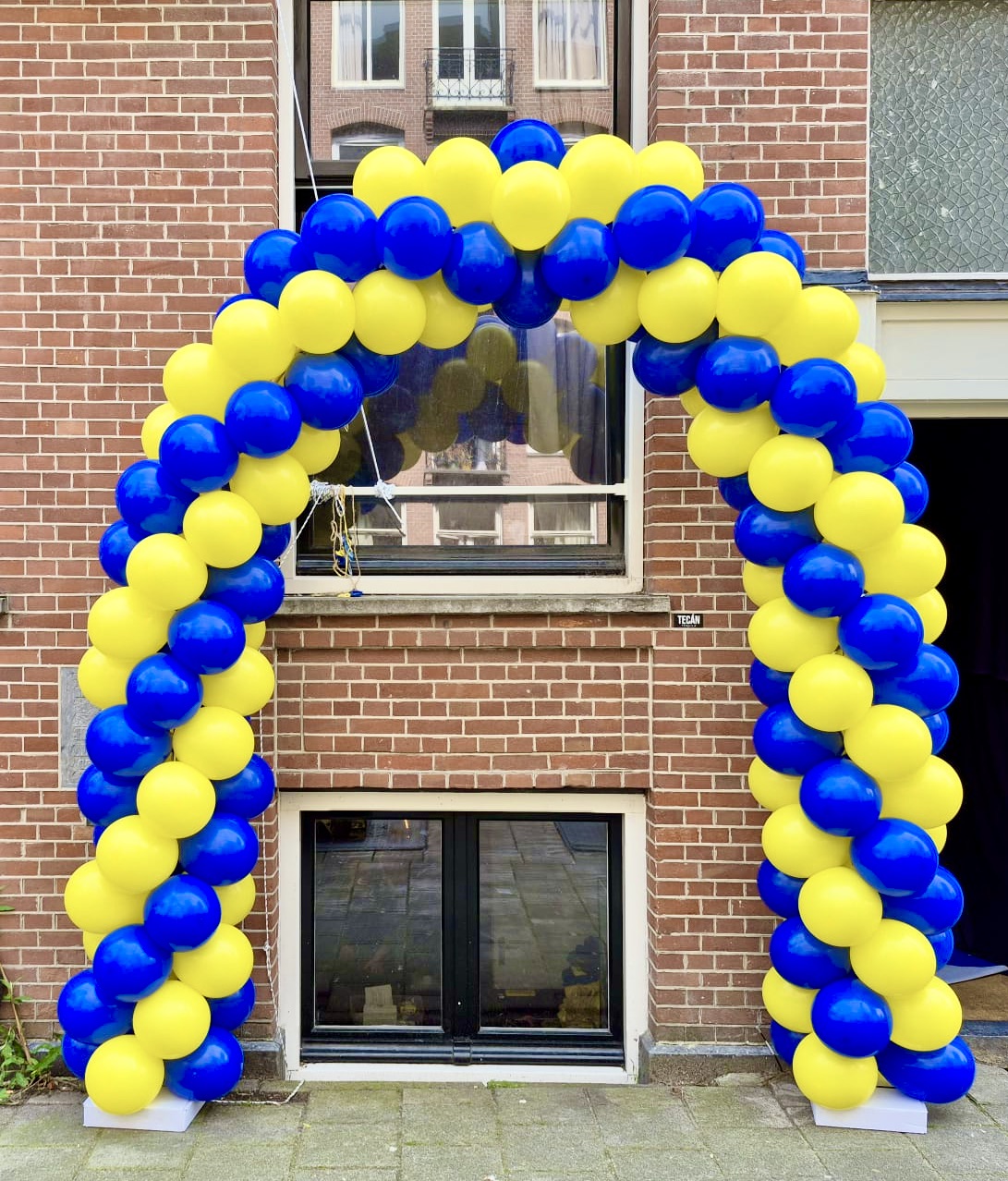Medium Classic Ballonnenboog Geel-Royal blue